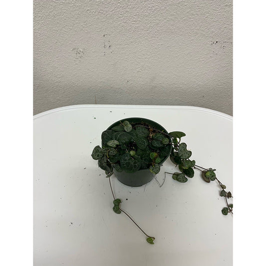 4” String of Hearts